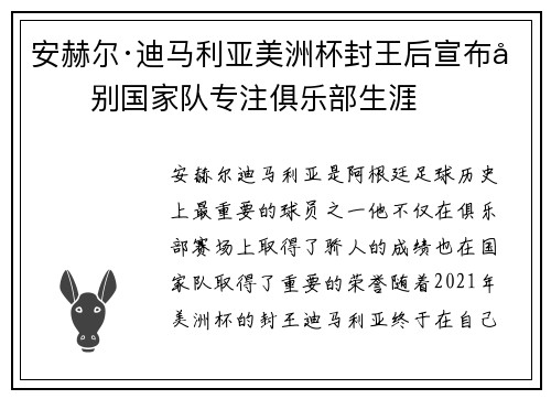 安赫尔·迪马利亚美洲杯封王后宣布告别国家队专注俱乐部生涯 安赫尔·迪马利亚美洲杯封王后宣布告别国家队专注俱乐部生涯